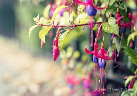 人生是一场一个人的旅程,无人可替代