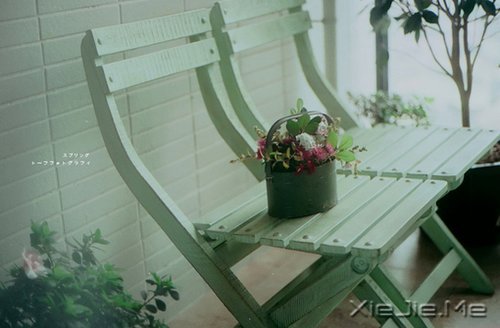 抖抖身上的尘埃,继续前行 (5)