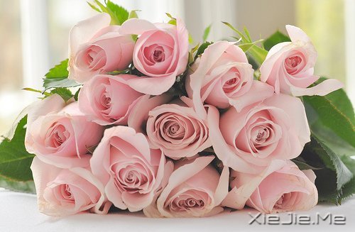 ��Ҫ������ң�ֻ�󰲰����� (9)