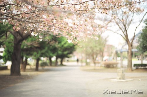 不争,也有属于你的世界 (1)