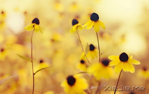 ��Ҫ�������ˣ���Ҫ����Լ� (1)