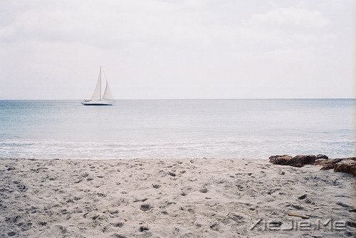 好好生活,做一个接近幸福的人 (5)