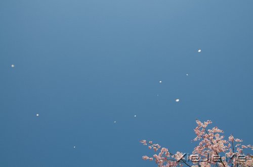 ƽ���밲���������������һ������ (9)