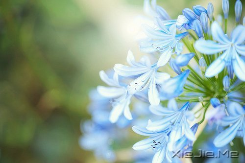 �Ҳ��³��󣬶�����������ȥ (4)