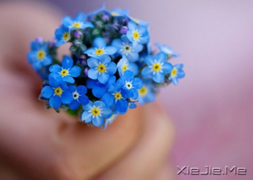 有的人你看了一眼,却惦念了一生 (5)