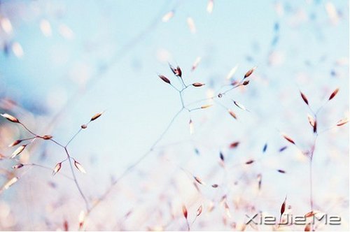 不争,也有属于你的世界 (9)