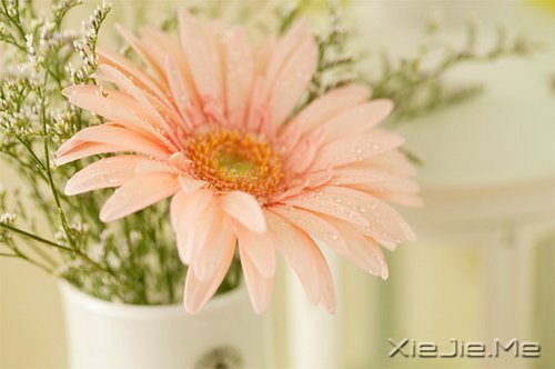 �����������ܿ�����ʵ���Լ� (6)