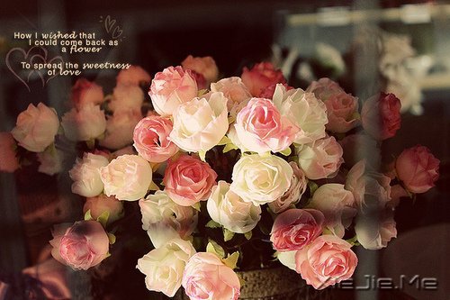 ������������ô��⣬���Լ�������һ��Ҫ���� (4)