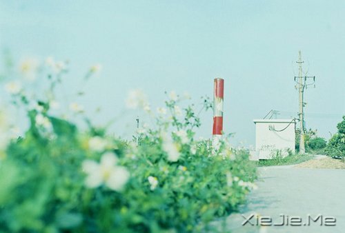 ���µĸ����������յĻ��� (9)