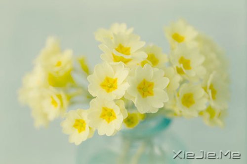 �����ж�пᣬ��͸��ж��ǿ (6)