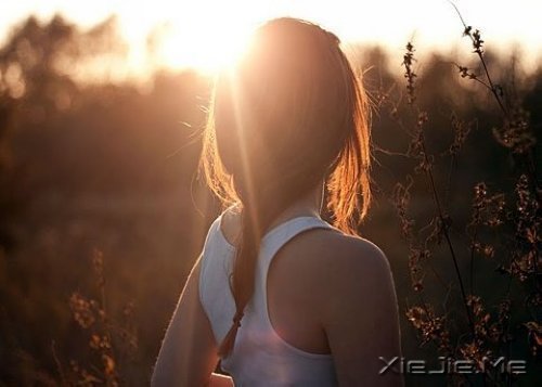 风雨,会考验最暖的陪伴 (5)