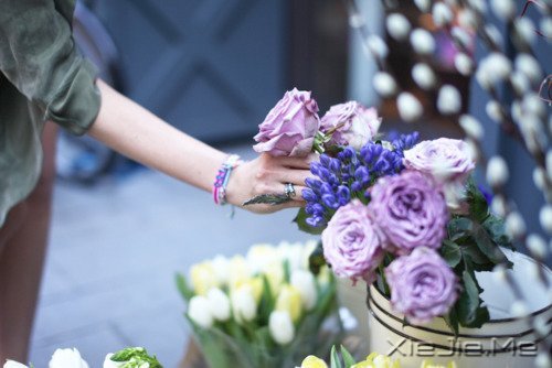 �����������������������Į (9)