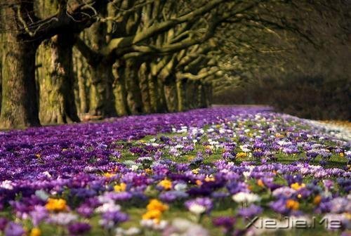 �Ҹ�Ӧ���������ɣ����������ö� (6)