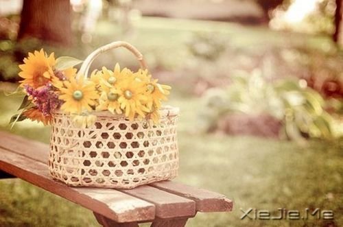 千万不要因为走的太久,而忘记了我们为什么出发 (6)