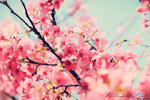 �簲����໰�Ȼ��Ըɾ�һǧ�� (11)