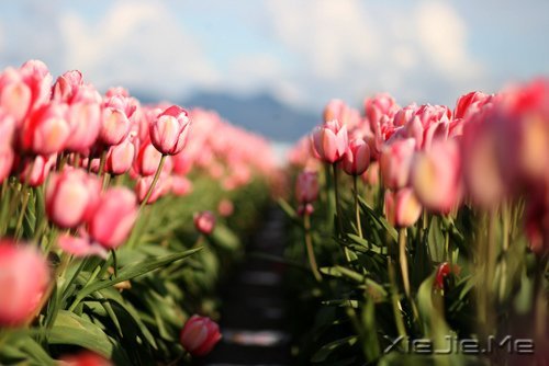 �簲�����һ�����ɣ�ȥ�������� (11)