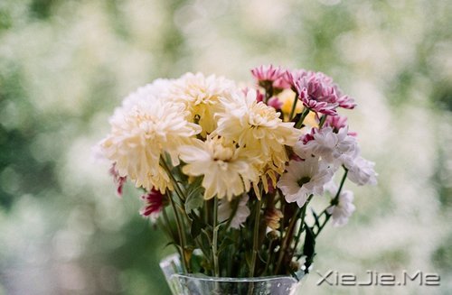 晚安心语:人不怕走在黑夜里,就怕心中没有光 (7)