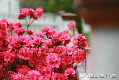 晚安心语:人不怕走在黑夜里,就怕心中没有光 (11)