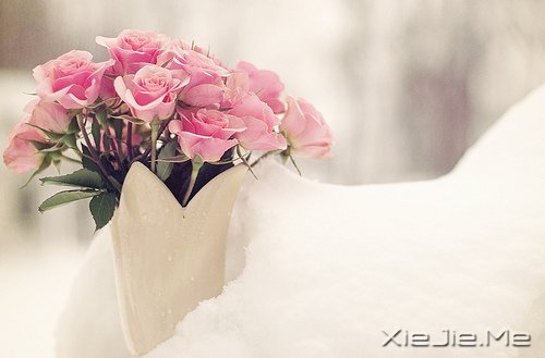 早安心语:走今天的路,过当下的生活 (6)