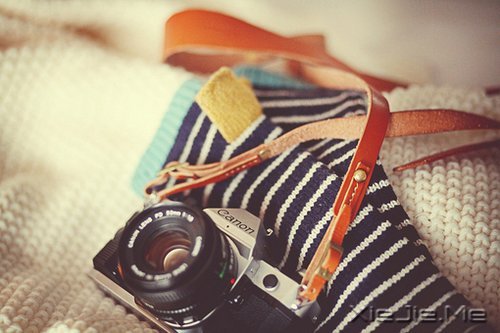 晚安心语:不卑不亢,清澈生活 (5)