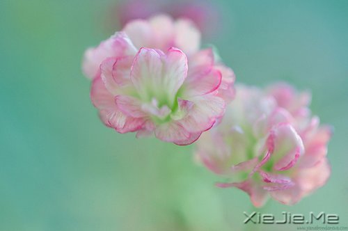 �簲�����ʰ���飬������· (2)