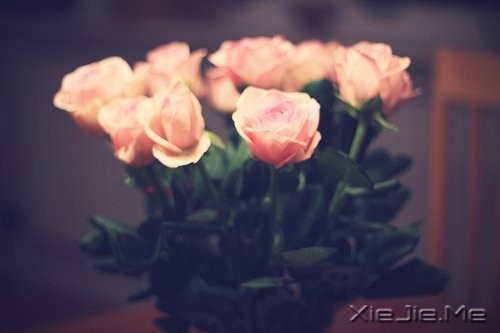 �������������ת���������¿�ʼ (3)