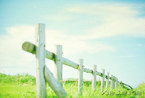 幸福是自己的,永远不要拿别人来做参照 (1)