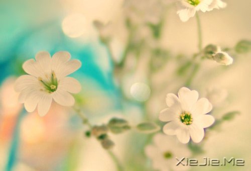 ������������������ǵ�Ȼ (6)