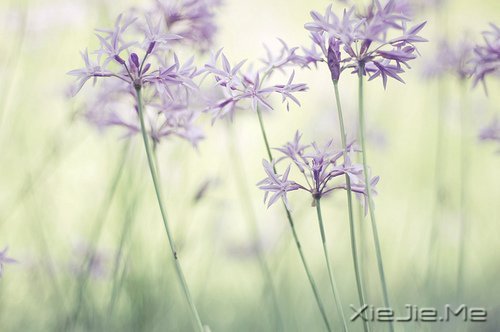 ��������������ˣ��������� (8)