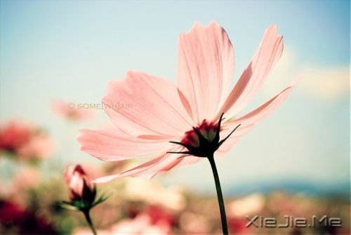 �簲���������������һ���˵����� (1)