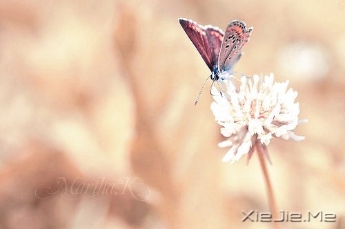对未来的真正慷慨,是把一切献给现在 (7)