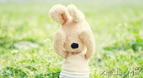 早安心语:为了等你,我错过了等我的人 (1)