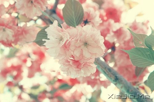 �������ֻҪ�������ڣ��ݳ���û����Ļ (6)