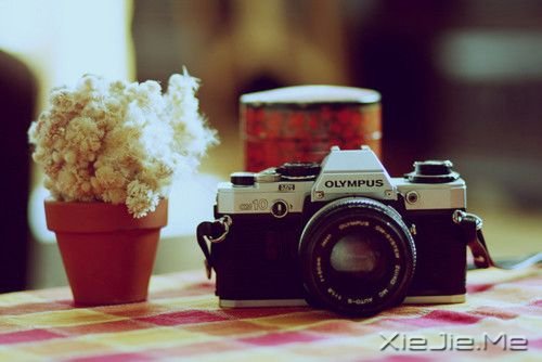 晚安心语:只要心是晴朗的,人生就没有雨天 (4)