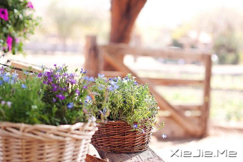 �簲�����һյ�ƣ��������� (3)