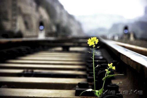 �簲���һ����£�������� (8)