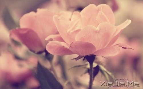 ��������¸����΢Ц��� (3)