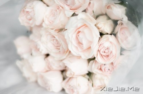 ��������¸����΢Ц��� (6)