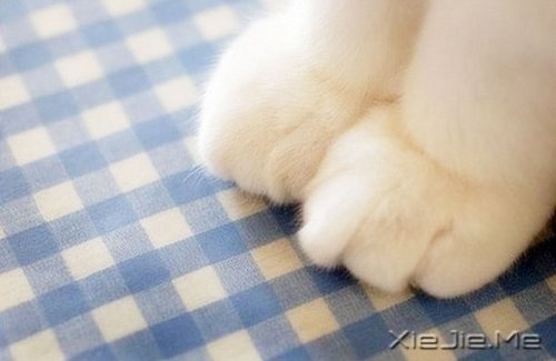 �����������Ϊ���Ƕ������������ǲŻ�˴���Ҫ (3)