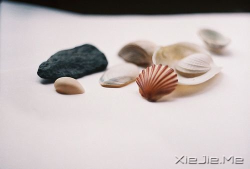 早安心语:幸福不是终点,而是旅程的途中 (10)