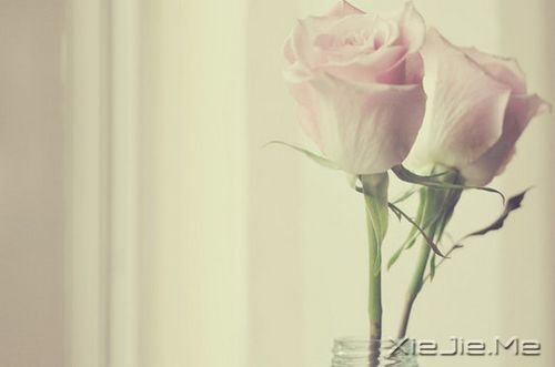 晚安心语:别忘了最初的自己 (6)