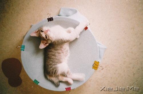 ���������Щ�����ʺ��������� (10)