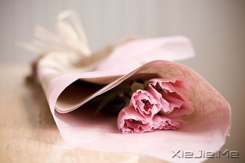 �簲�������ס�����ڮ�٣��;���ס�������� (2)