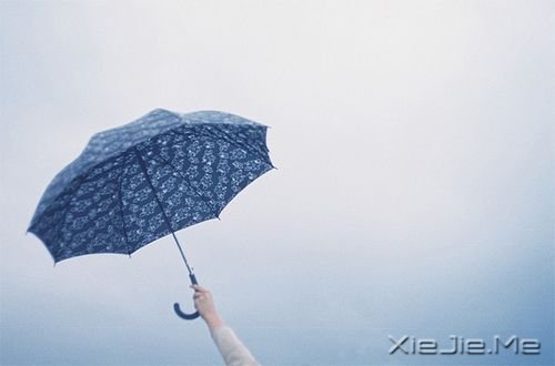 �簲�����ʵ�����ǻ��ǲ��볤��ĺ��� (8)