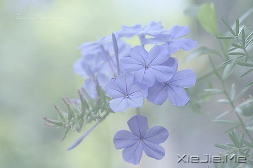 经典语录:与其埋怨世界,不如改变自己 (9)