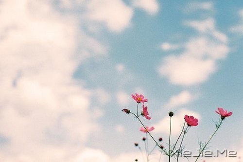 20岁到30岁应该学会的5件事 (2)