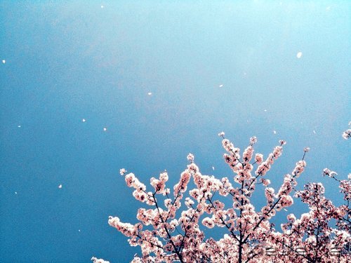 ������¼��һ���˵���ĵ��� (1)