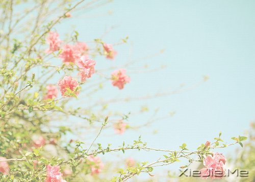 ��Щ������ȥ������