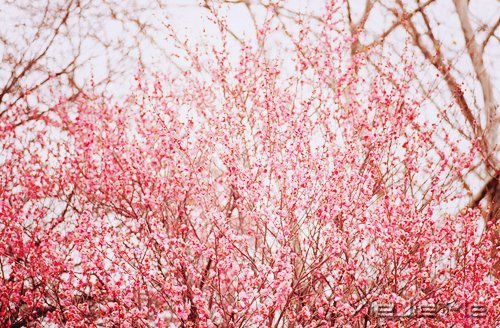 ������Լ���10��Լ�� (9)