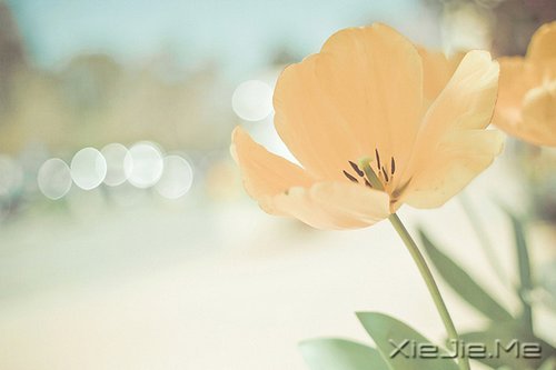 所有的答案未必都如最初所愿